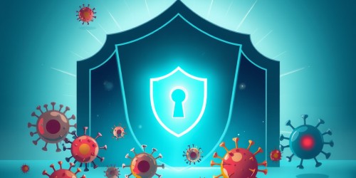 Como proteger backups contra vírus e manter seus dados seguros